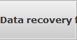 Data recovery for Brewer data