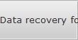 Data recovery for Brewer data